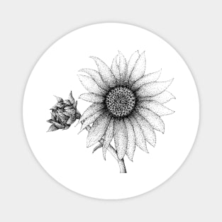 Pointillism Sunflower Illustration Magnet